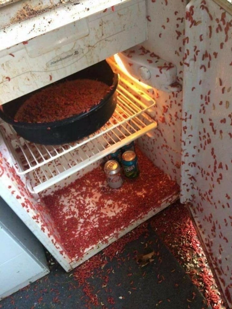    ,    ...