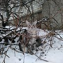 ���� ������ ������, ���!, 37 ��� - ��������� 19 ������ 2020 � ������ �����