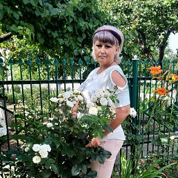 ((( ������ ))), ���������, 50 ���