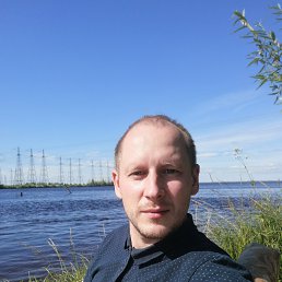 ������, ����, 41 ���