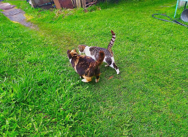   - 17  2020  21:02 - 3