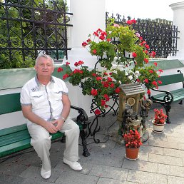 ���� �����, ���� - ��������� 31 ��� 2020