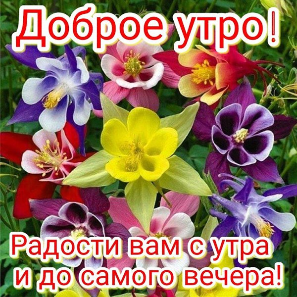   ,    . - 27  2020  22:29 - 2