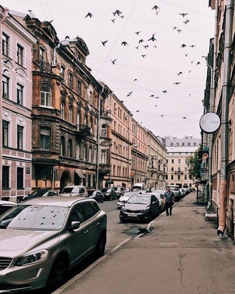 Душа требует весеннего Питера, но надо сидеть дома на карантине! - 6