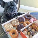 ���� Slaven, ������ - ��������� 29 ���� 2020 � ������ ���� ����������