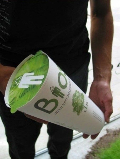 ypa pp  p  epeo. K  ? - 8