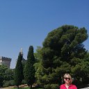 ���� �����, �����, 56 ��� - ��������� 14 ������ 2020 � ������ ���������� ������