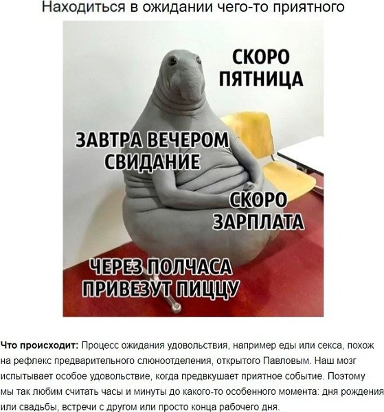8 советов нейробиолога о том, как стать счастливым раз и навсегда. - 7