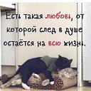 ���� ��������, ������� - ��������� 23 ��� 2020 � ������ ���������