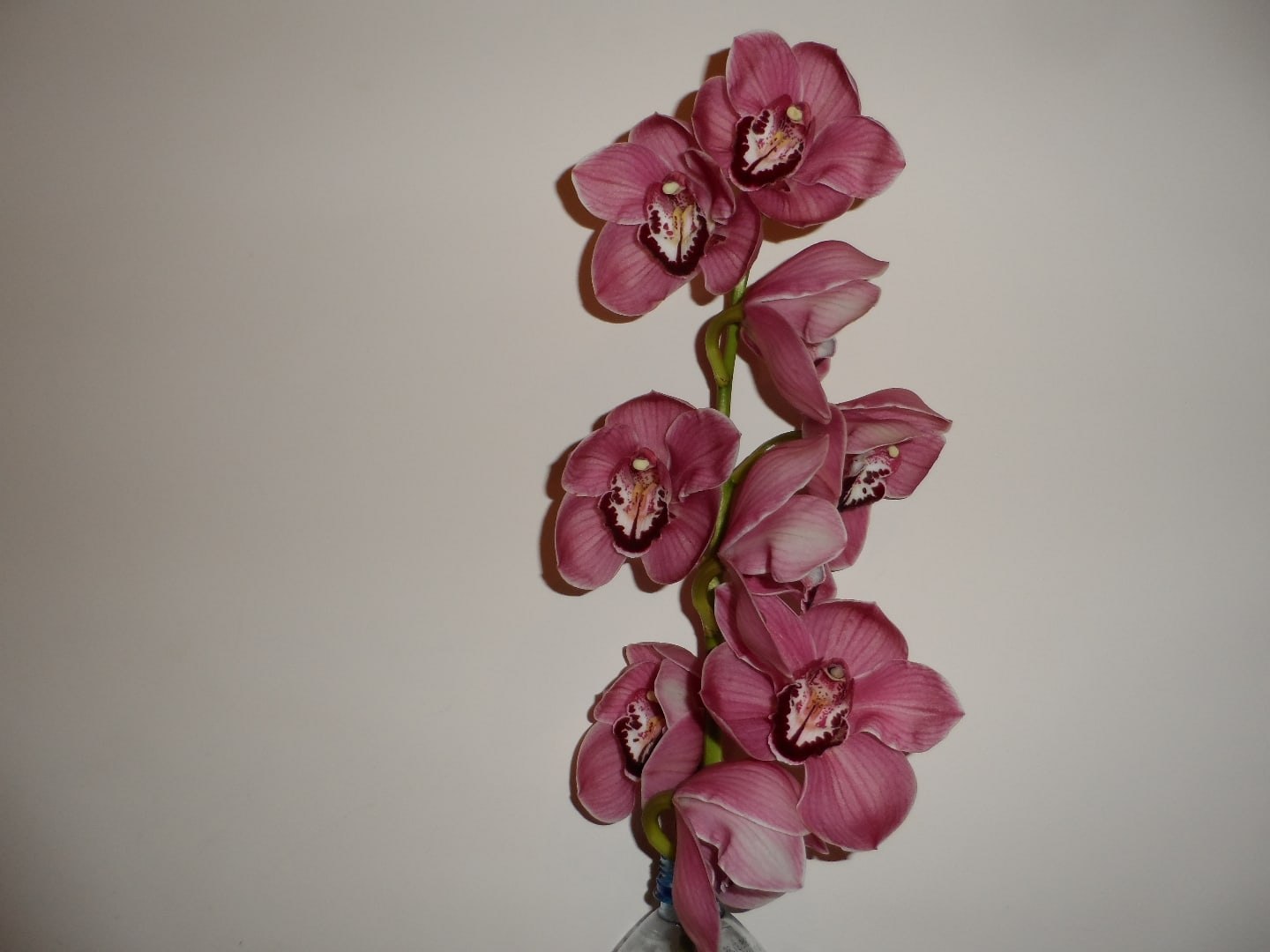  - 10  2020  20:57 - 4