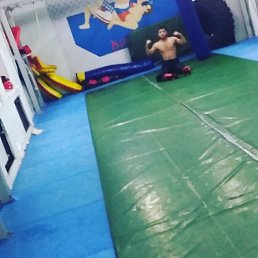 Ali, �����������, 24 ����