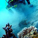 ���� ���������, ������ - ��������� 14 ���� 2020 � ������ ���� ���� ������