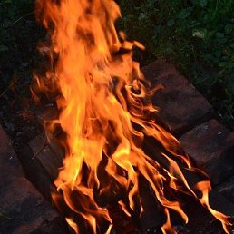 �����, �������, 48 ���