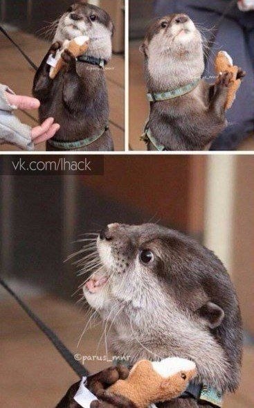 ����� � �������� ������