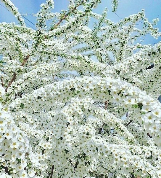   ,    . - 29  2020  22:45