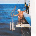 ���� ������, ����������� - ��������� 12 ���� 2020 � ������ ���� ���