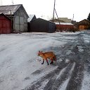 ���� ����, ���������� - ��������� 9 ������� 2020 � ������ ���� ����������