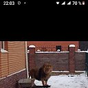 ���� �������, ������� ��������, 46 ��� - ��������� 5 ������� 2020