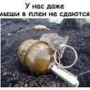 ���� �����, ����-�������, 47 ��� - ��������� 19 ������� 2020 � ������ ������ ��������