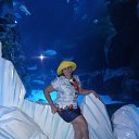 ���� �����, �����������, 54 ���� - ��������� 13 ������� 2020 � ������ ���� ����������