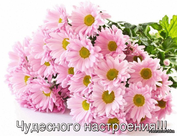   ,    . - 26  2020  18:07