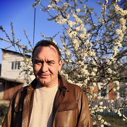 ���� ��������, �������������, 54 ���� - ��������� 23 ������ 2020