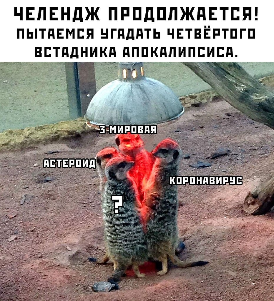 ��� �� �������, ��� ��������???