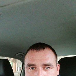 ���������, �������, 41 ���