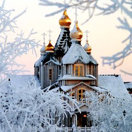 ���������, �����������, 21 ���