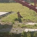 ���� ����, ��������, 45 ��� - ��������� 10 ������ 2020