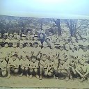  , , 63  -  3  2020