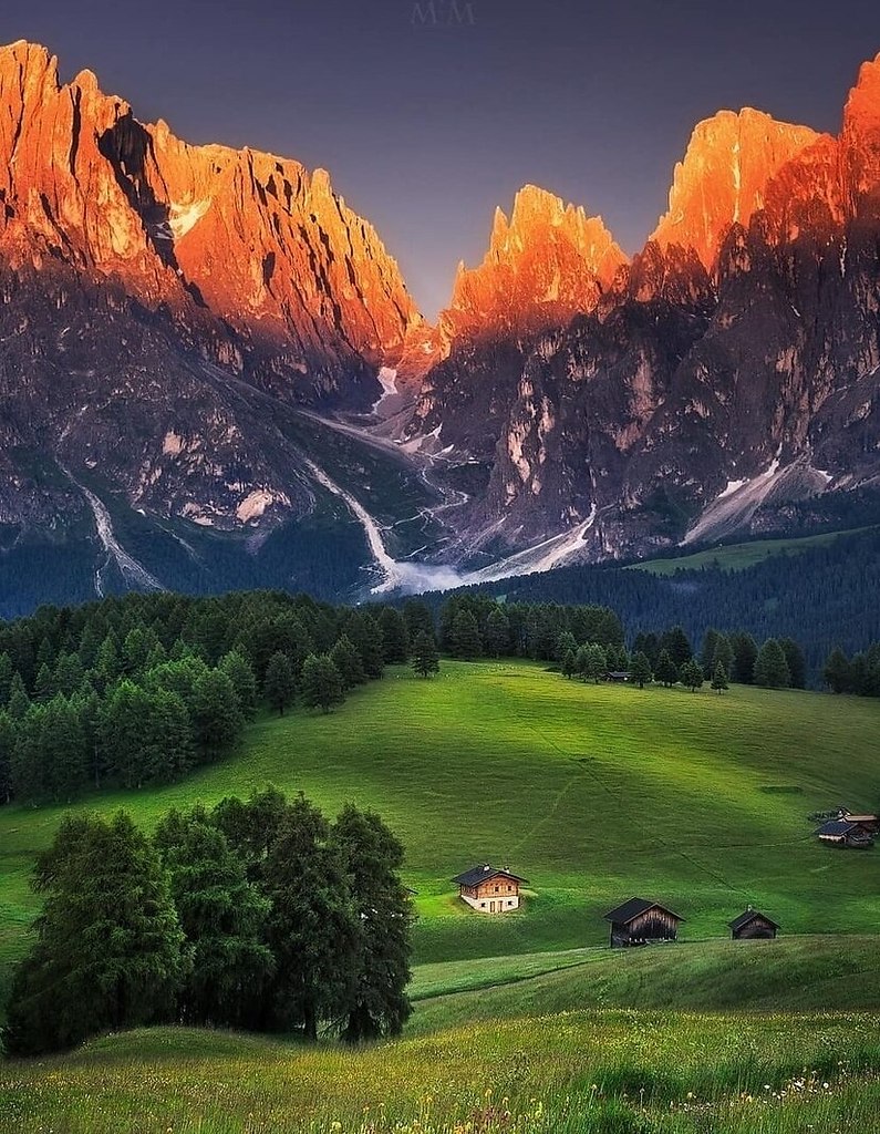   , 