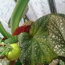 ���� ����, �������, 49 ��� - ��������� 18 ������ 2020 � ������ ��������� ��������