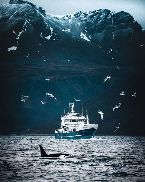 ,   ,   ,   ,      , ...