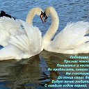 ���� �����, �����, 39 ��� - ��������� 5 ������ 2020 � ������ ������ ��������