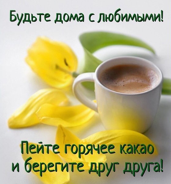   ,    . - 26  2020  20:21 - 9