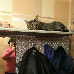 ���� ������, ������ - ��������� 10 ������ 2020