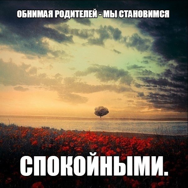 Как мы стали спокойными. Мудрые высказывания про детей и родителей. Сохранение спокойствия в стрессовых ситуациях. Как сохранять хладнокровие в любой ситуации. Как мы стали спокойными.
