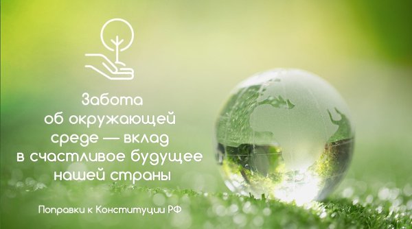 Конституция 2020: как поправки помогут защитить окружающую среду. В числе поправок к Основному ...