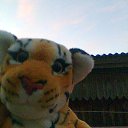 ���� L_y_d_a, ������� - ��������� 13 ����� 2020 � ������ ���� ����������