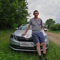 ������, ������������, 46 ���