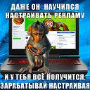 ���� ��������� �����, ������������ - ��������� 11 ���� 2020 � ������ ���� �������