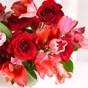 ���� ___����, �������� - ��������� 18 ���� 2020 � ������ �������