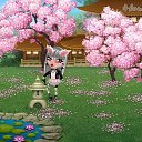 ���� *����* =�, ������������ - ��������� 14 ���� 2020 � ������ �������