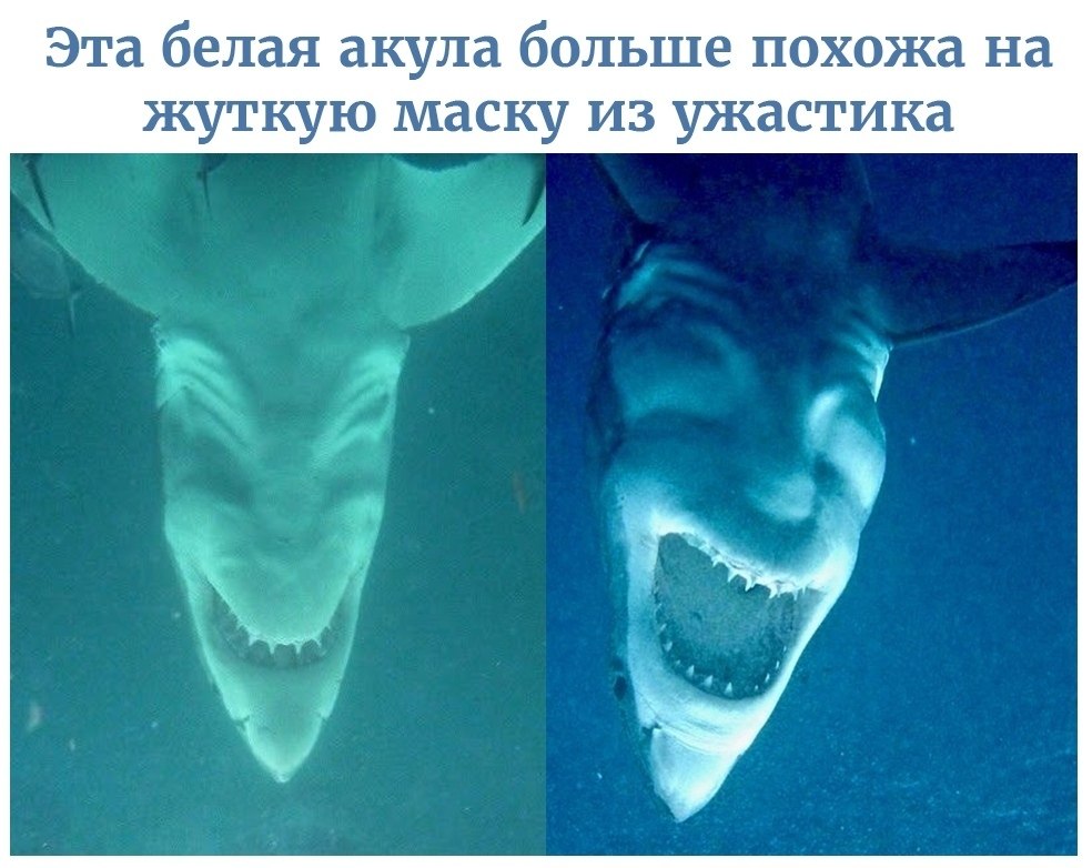 LIFE -  - 14  2020  19:07