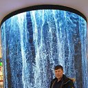 ���� ���������, ������, 56 ��� - ��������� 14 ������ 2020 � ������ ���� ����������