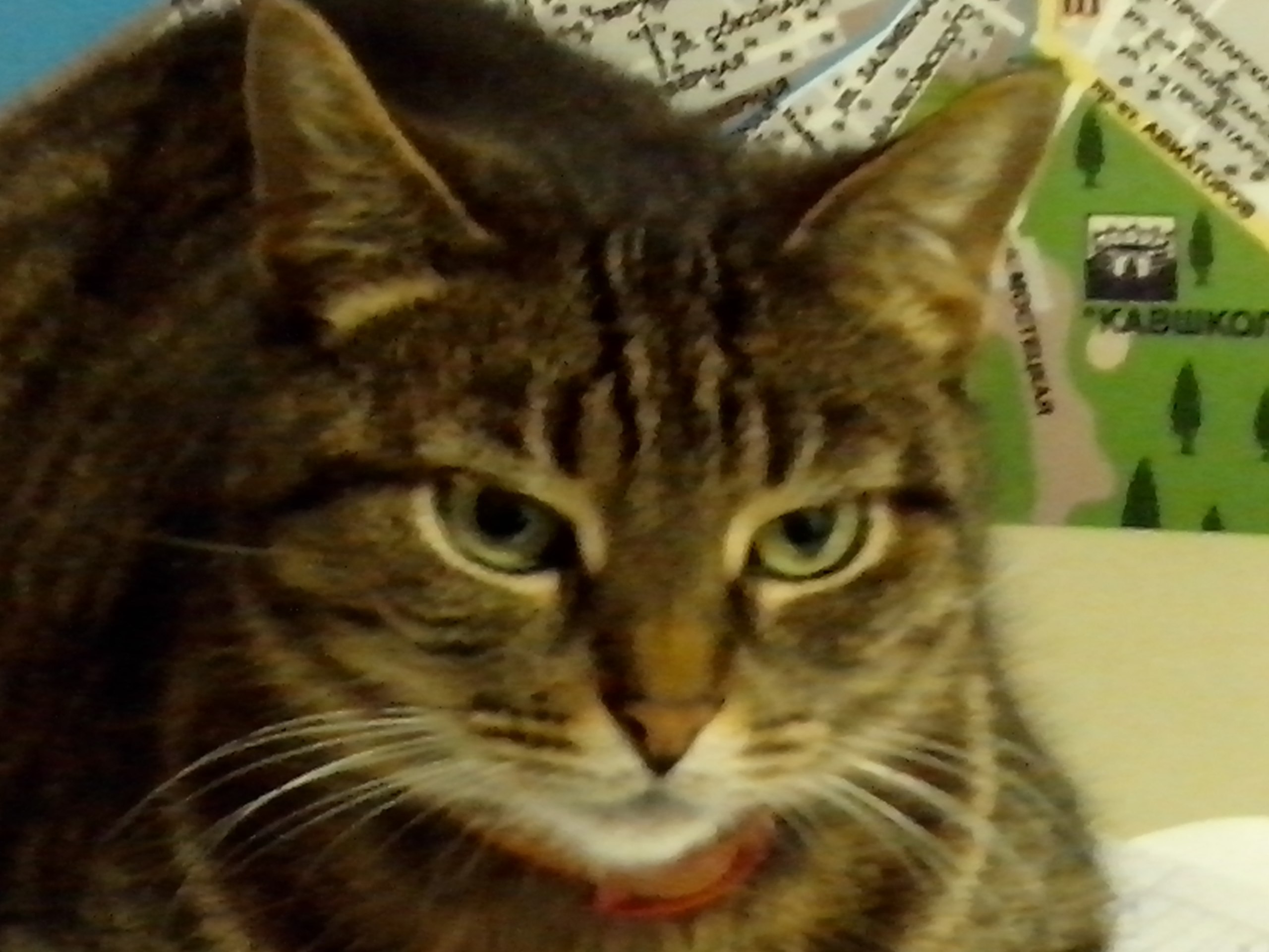 Olga - 29 ������ 2020 � 13:57 - 3