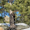 ������������ 11.2019�. �� ������� ���� ����������