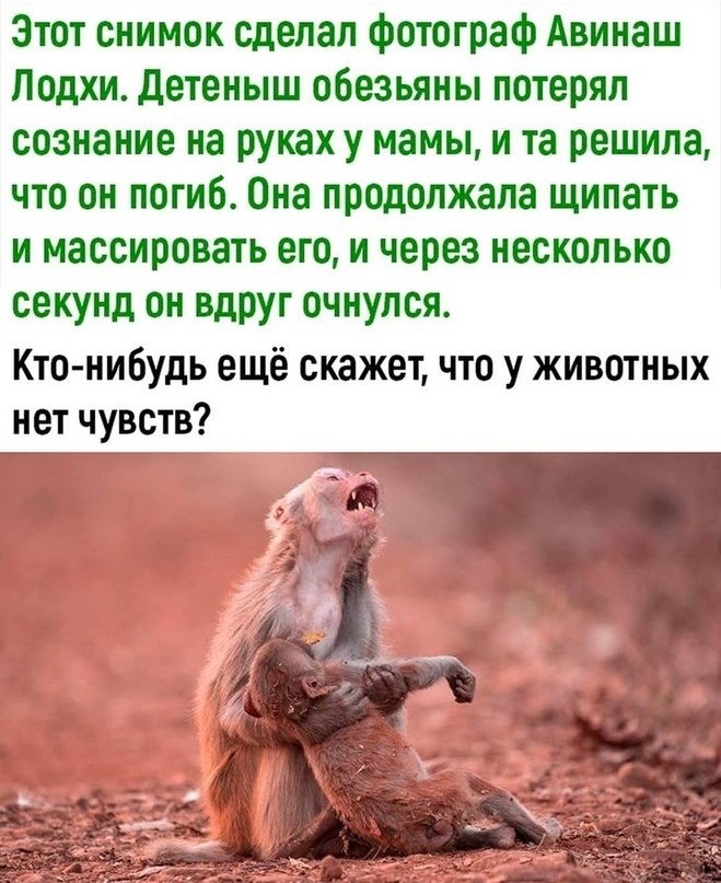 LIFE - ������� - 7 ����� 2020 � 18:45