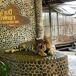 ������, �����������, 48 ���